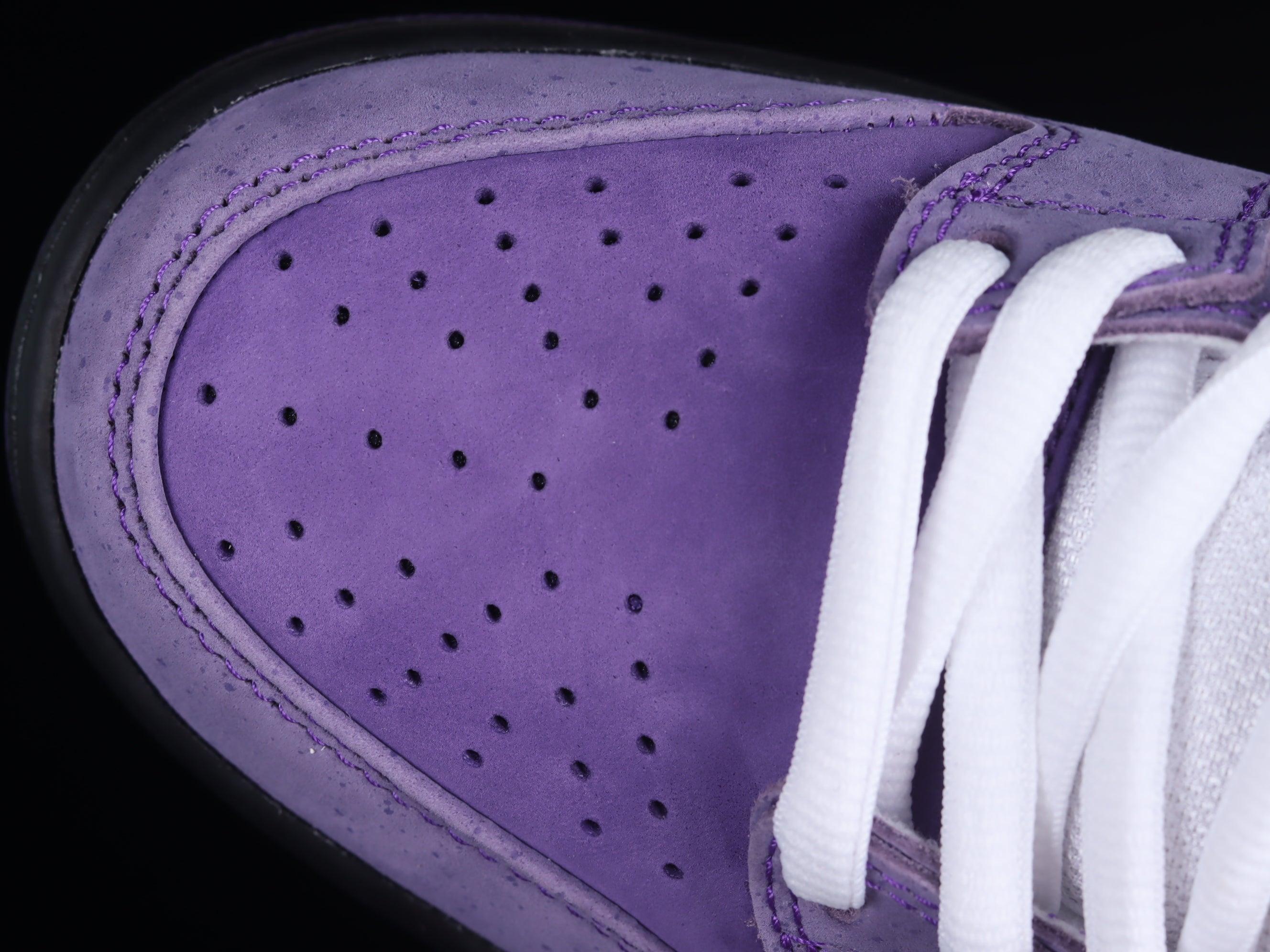 Dunk Low Pro SB "Purple lobster"